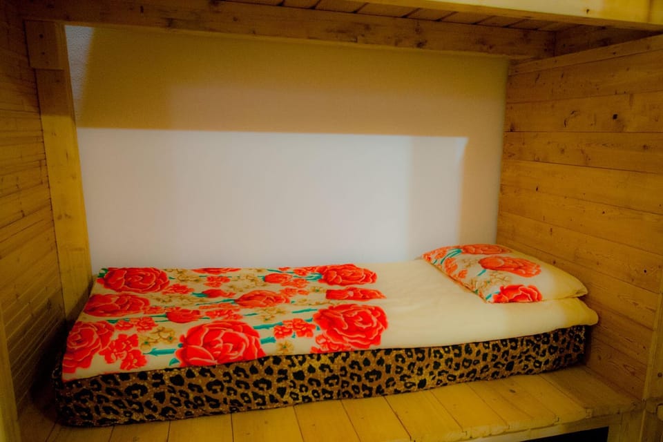 Bed, Photo of the whole room, Bedroom, bunk bed