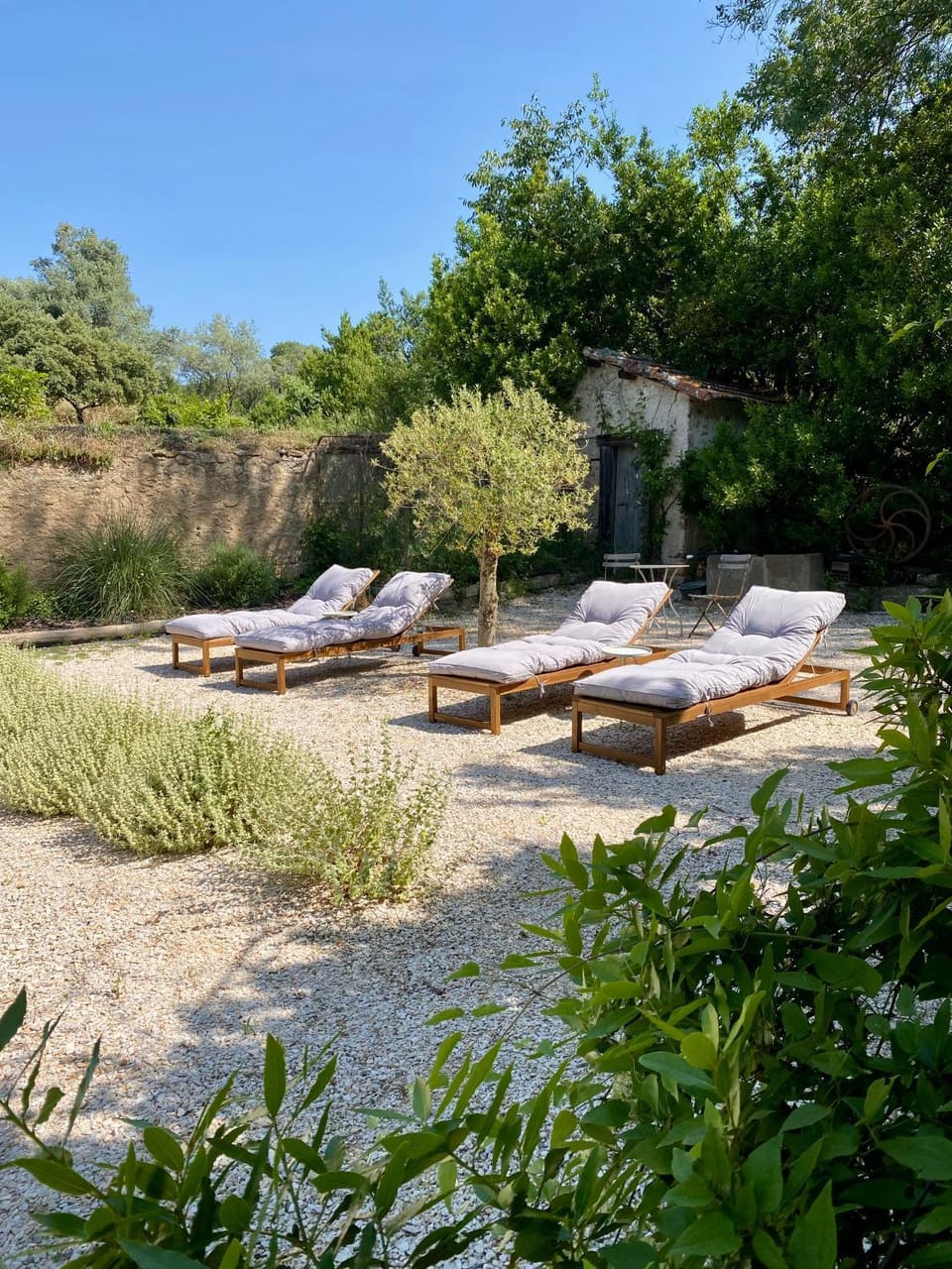 Felix - Maison d'hôtes Bed and Breakfast in Occitanie