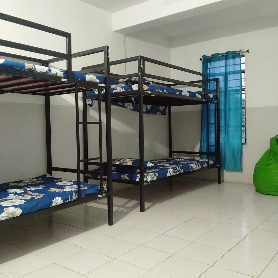 bunk bed