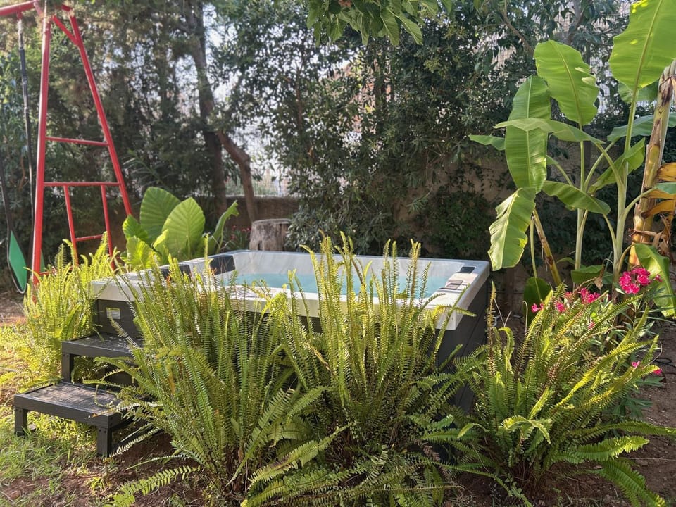 Garden, Hot Tub, Garden view