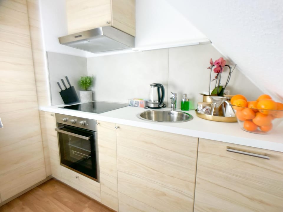 Coffee/tea facilities, Kitchen or kitchenette, Food, minibar, pet friendly, stove