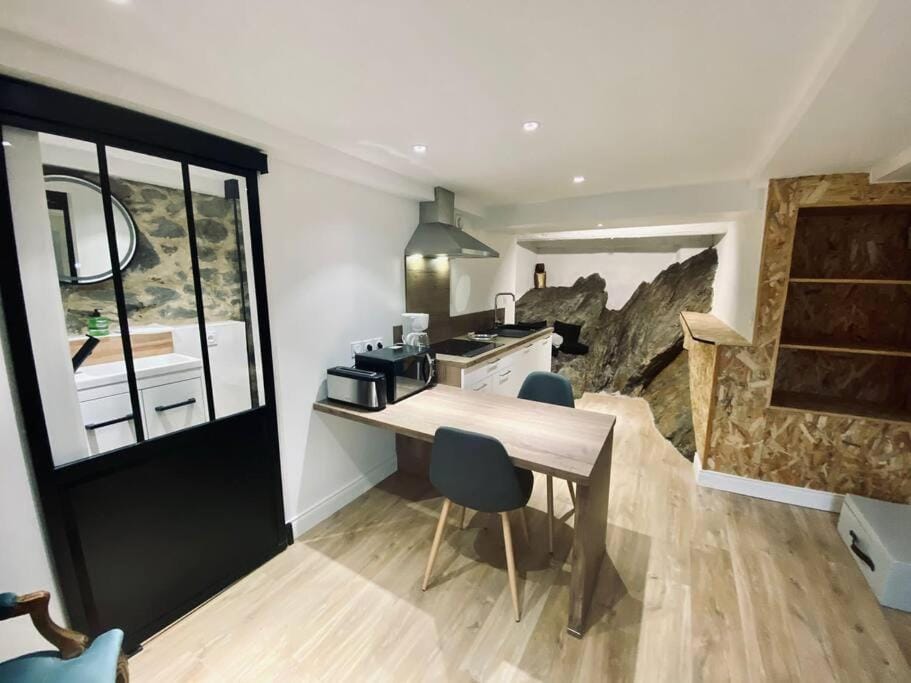Appartement atypique « le menhir » Ax-les-Thermes Apartment in Occitanie