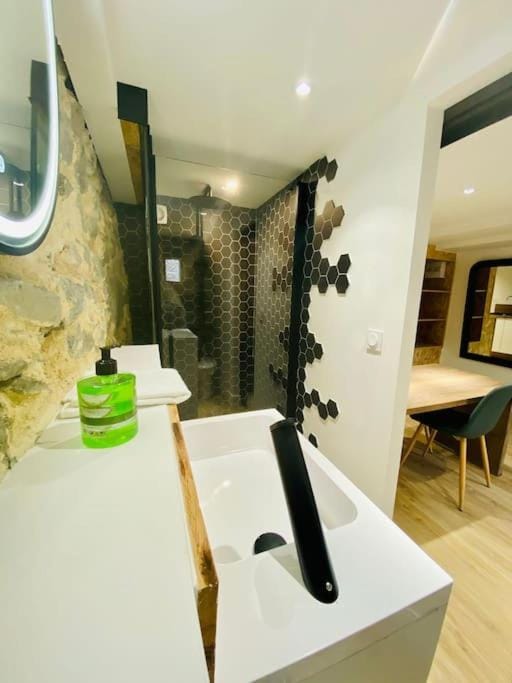 Appartement atypique « le menhir » Ax-les-Thermes Apartment in Occitanie