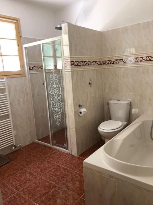 Shower, Toilet, Bathroom, Bath