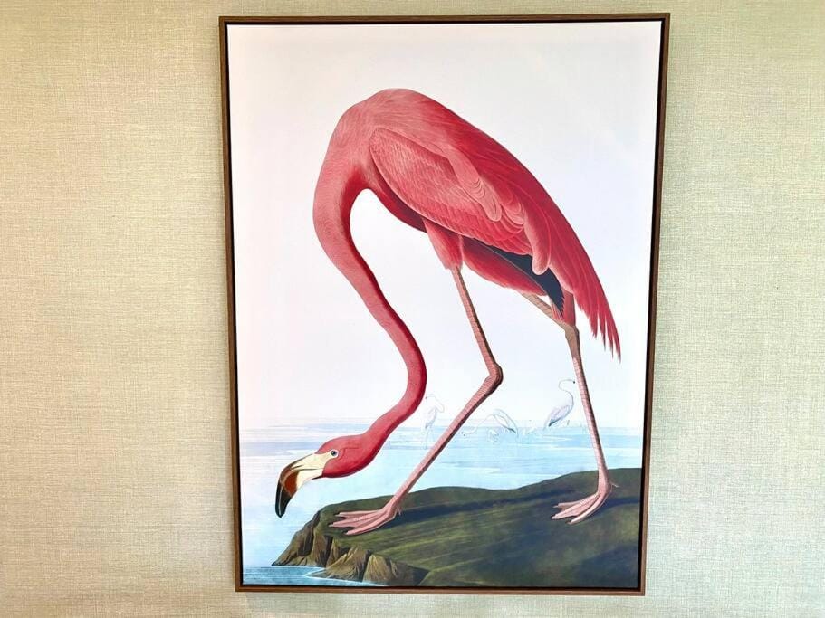 Stunning 3 bedroom Penthouse Apartment - Free Parking & WiFi - 1 Minute walk to Poole Quay - Great Location - Free Parking - Fast WiFi - Smart TV - Newly decorated - sleeps up to 6! Close to Poole & Bournemouth & Sandbanks Apartment in Poole