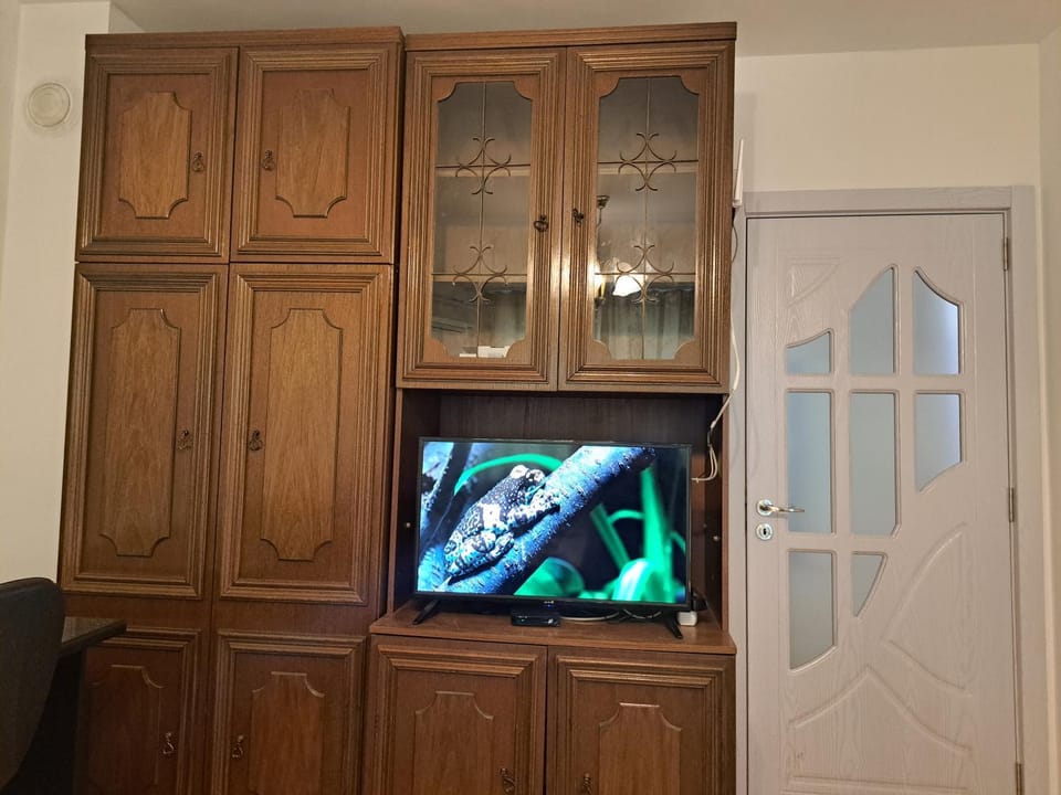 Communal lounge/ TV room, TV and multimedia, Balcony/Terrace, furniture, locker, wardrobe, air conditioner