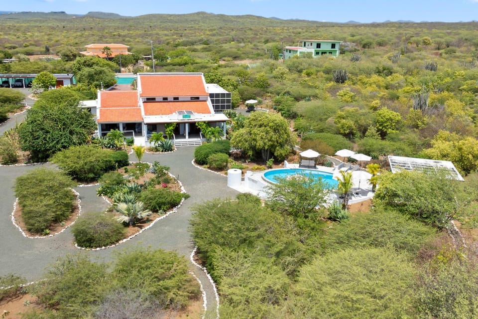 Property building, Natural landscape, Mountain view, Pool view, Swimming pool