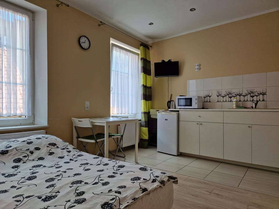 Kamienica przy Jeziorku Magistrackim Apartment in Poland