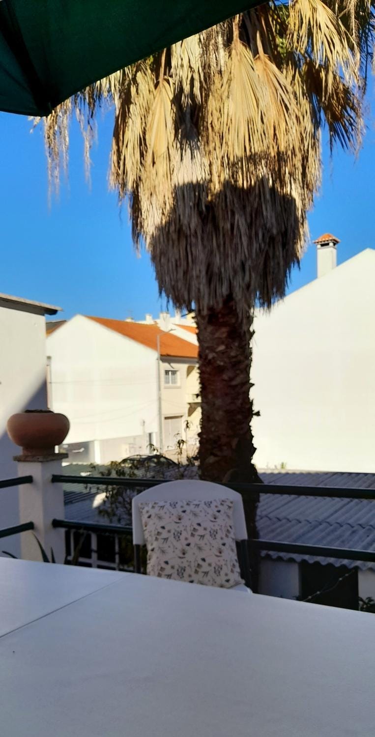 Garden, Balcony/Terrace