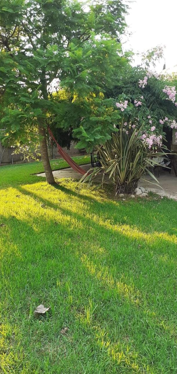 Off site, Garden