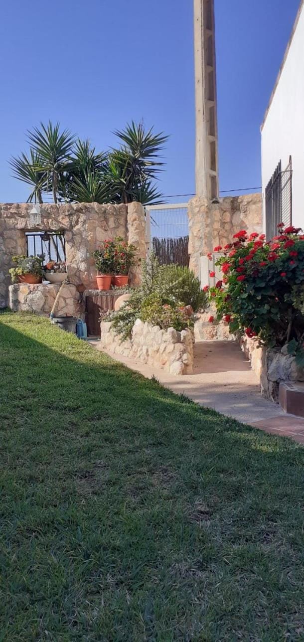 Off site, Garden