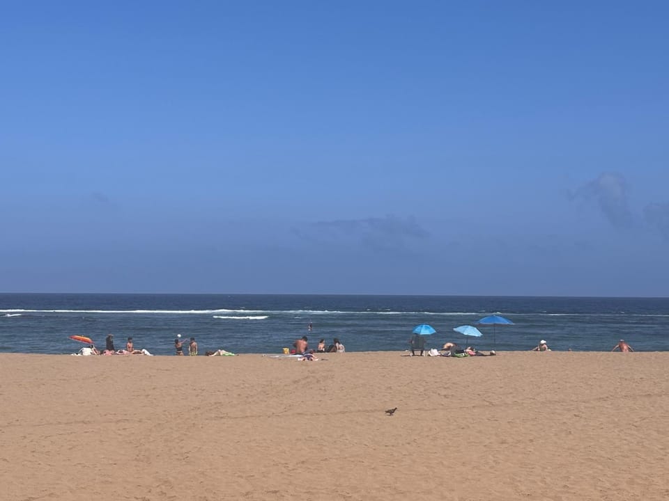 Eternal Summer Apartment in Las Palmas de Gran Canaria