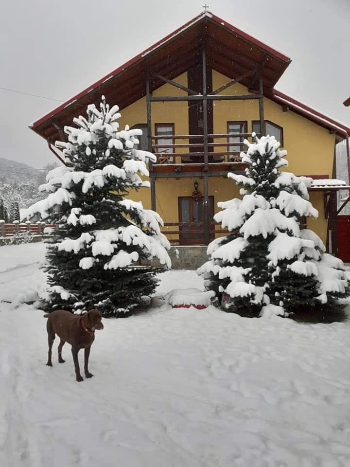 Vila Coman Vacation rental in Brașov County