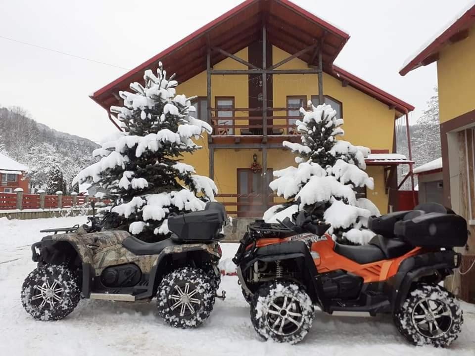 Vila Coman Vacation rental in Brașov County
