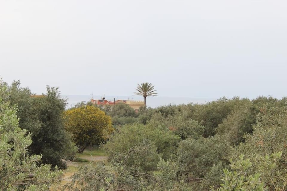 Villa al Sorriso Corallo House in Sicily