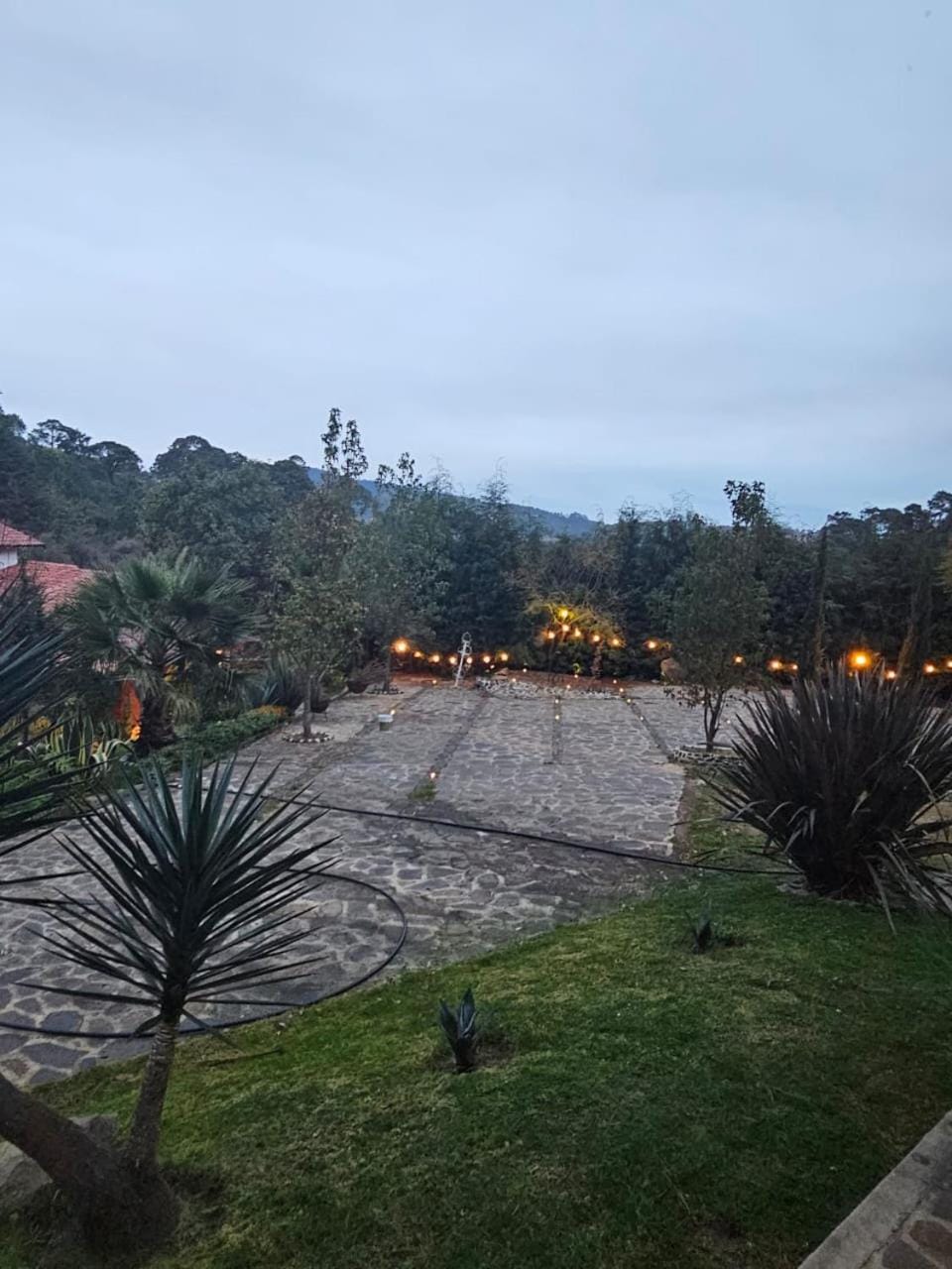 Natural landscape, Garden view