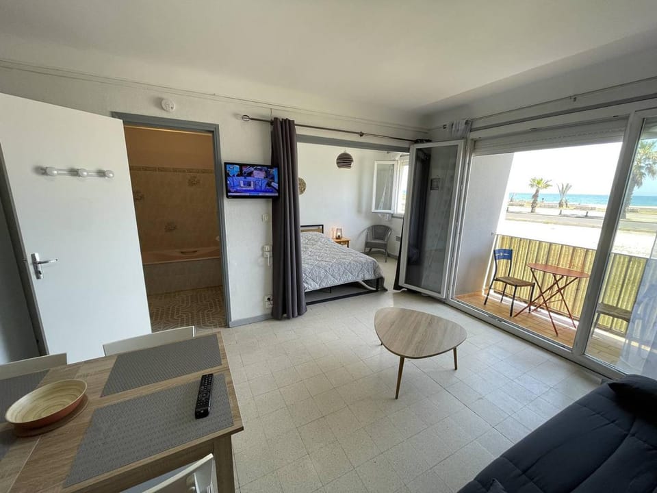 Studio 4 pers. en bord de mer avec balcon, parking et animaux admis à Saint-Cyprien. - FR-1-106-94 Apartment in Saint-Cyprien