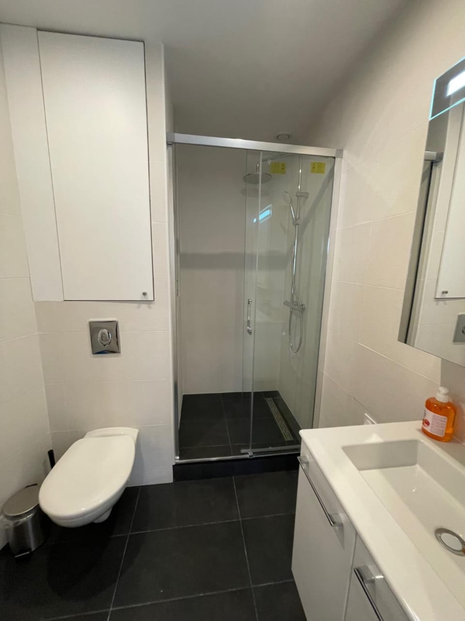 Shower, Toilet