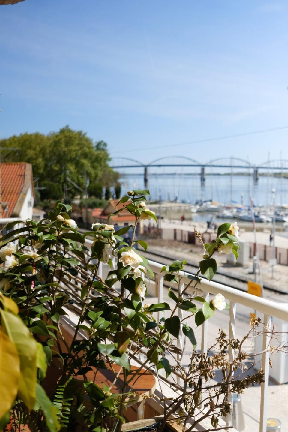 Balcony/Terrace, River view