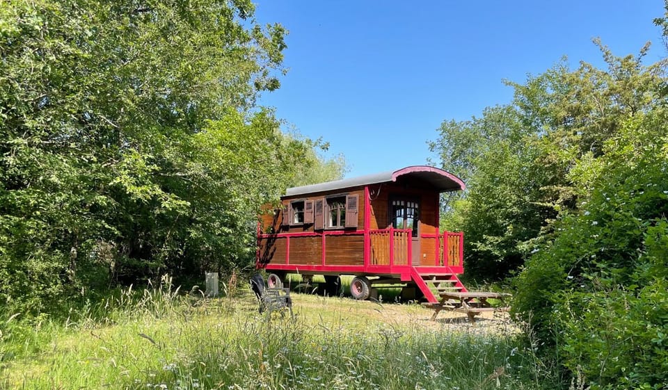 Natural landscape, Garden, Garden view
