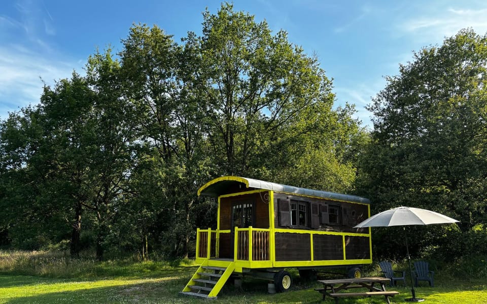 Natural landscape, Garden, Garden view