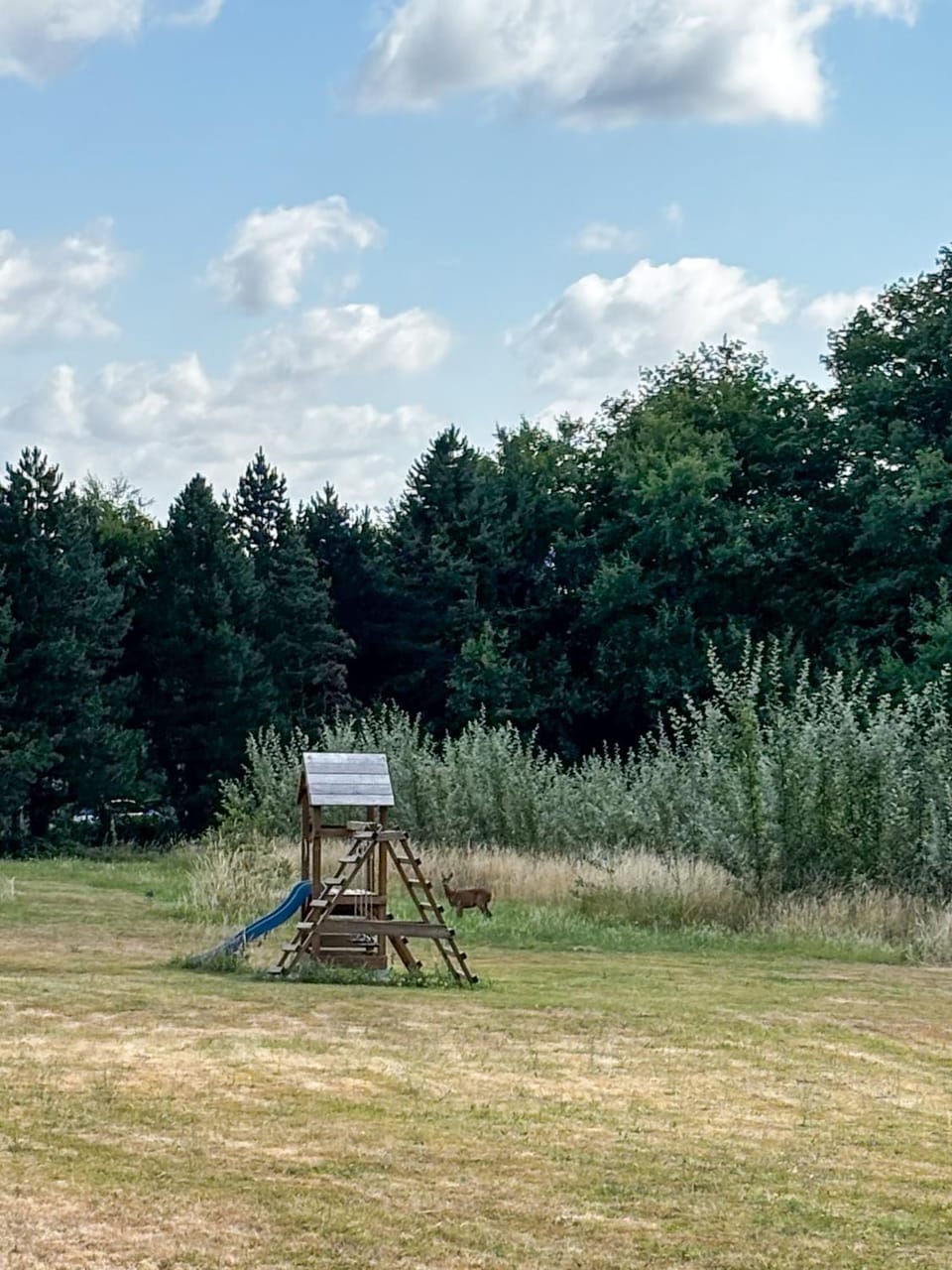 Children play ground