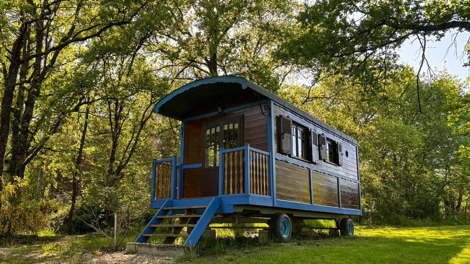 Garden, View (from property/room)