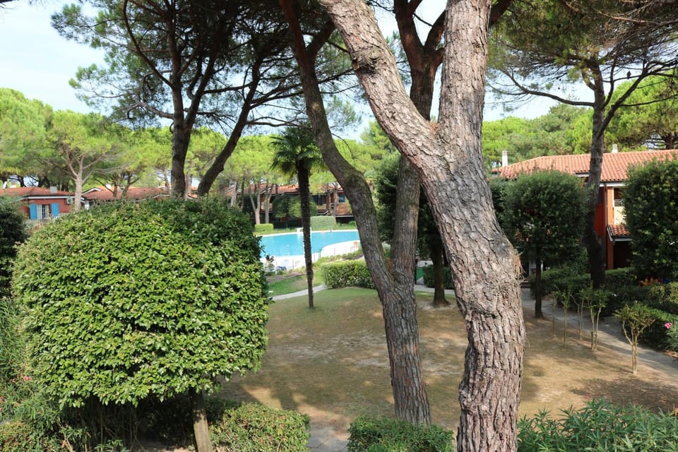 Property building, Natural landscape, Garden, Garden view, Swimming pool