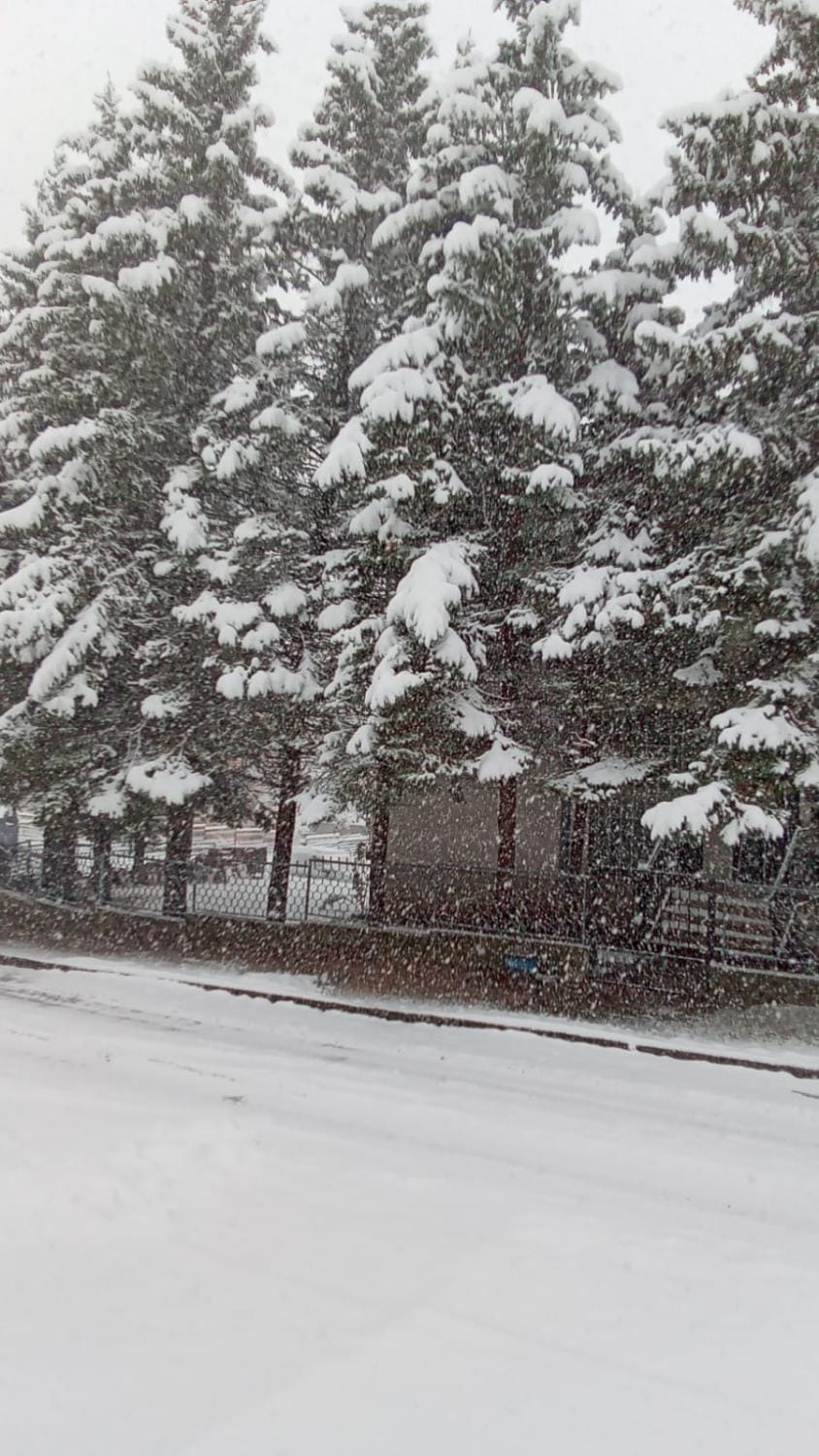 Winter