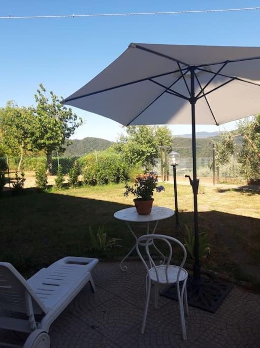 Spring, Day, Natural landscape, Garden, Garden view, Mountain view