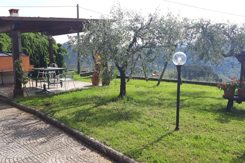 Natural landscape, Garden