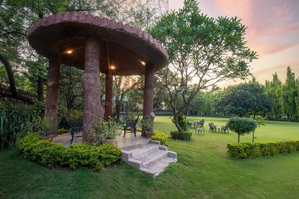 Garden