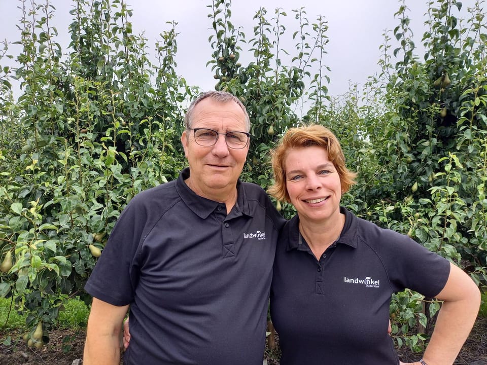 Day, People, Natural landscape, Garden, Garden view