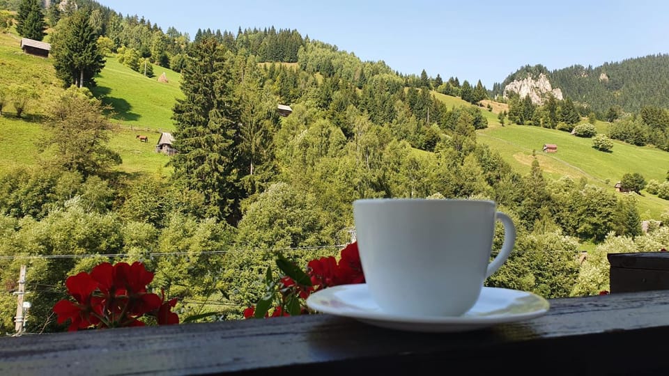 Day, Natural landscape, Coffee/tea facilities