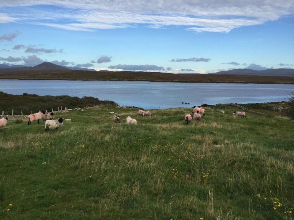 Natural landscape, Mountain view, Sea view