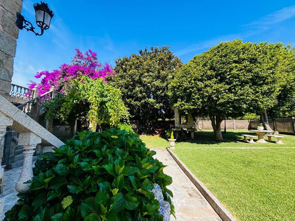Day, Garden, Garden view