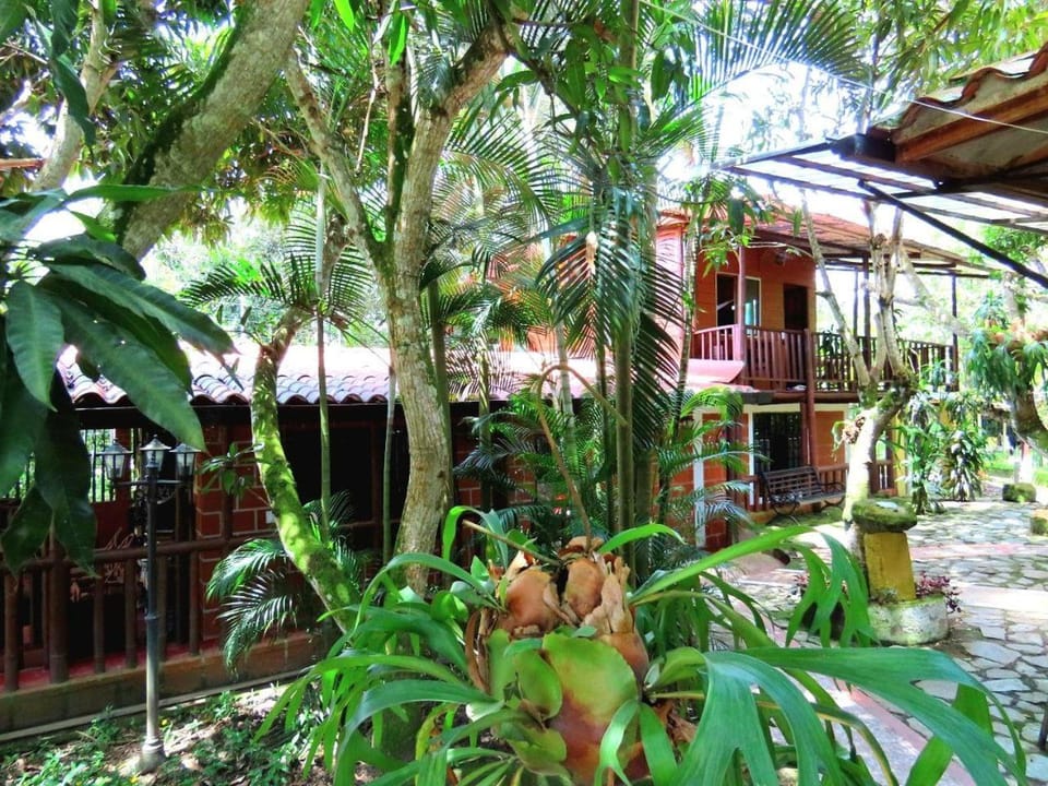 Natural landscape, Garden