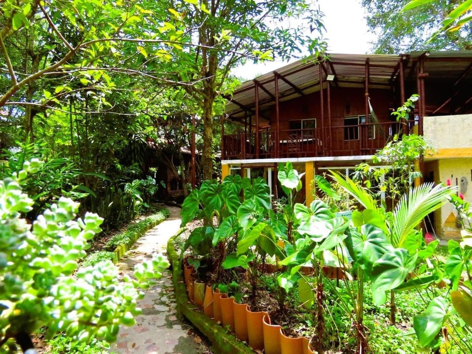 Garden, Garden view