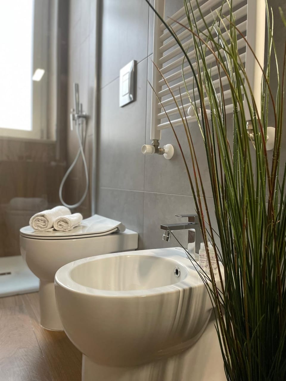 Shower, Toilet, Bathroom, bidet
