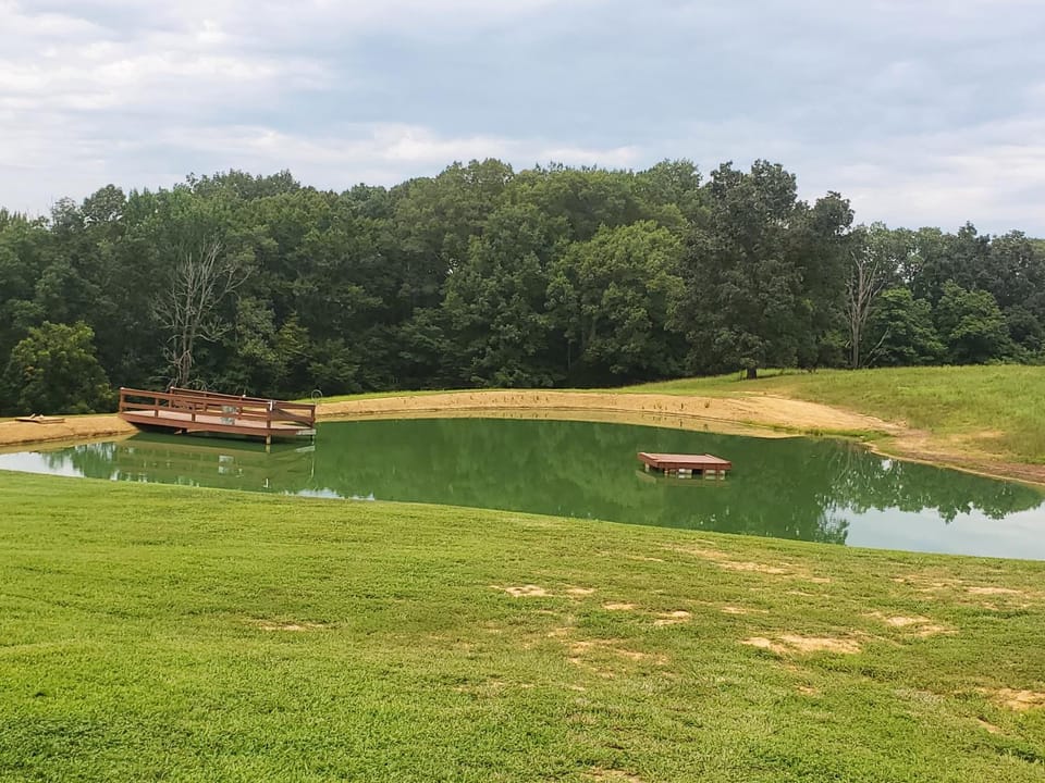 Lake view