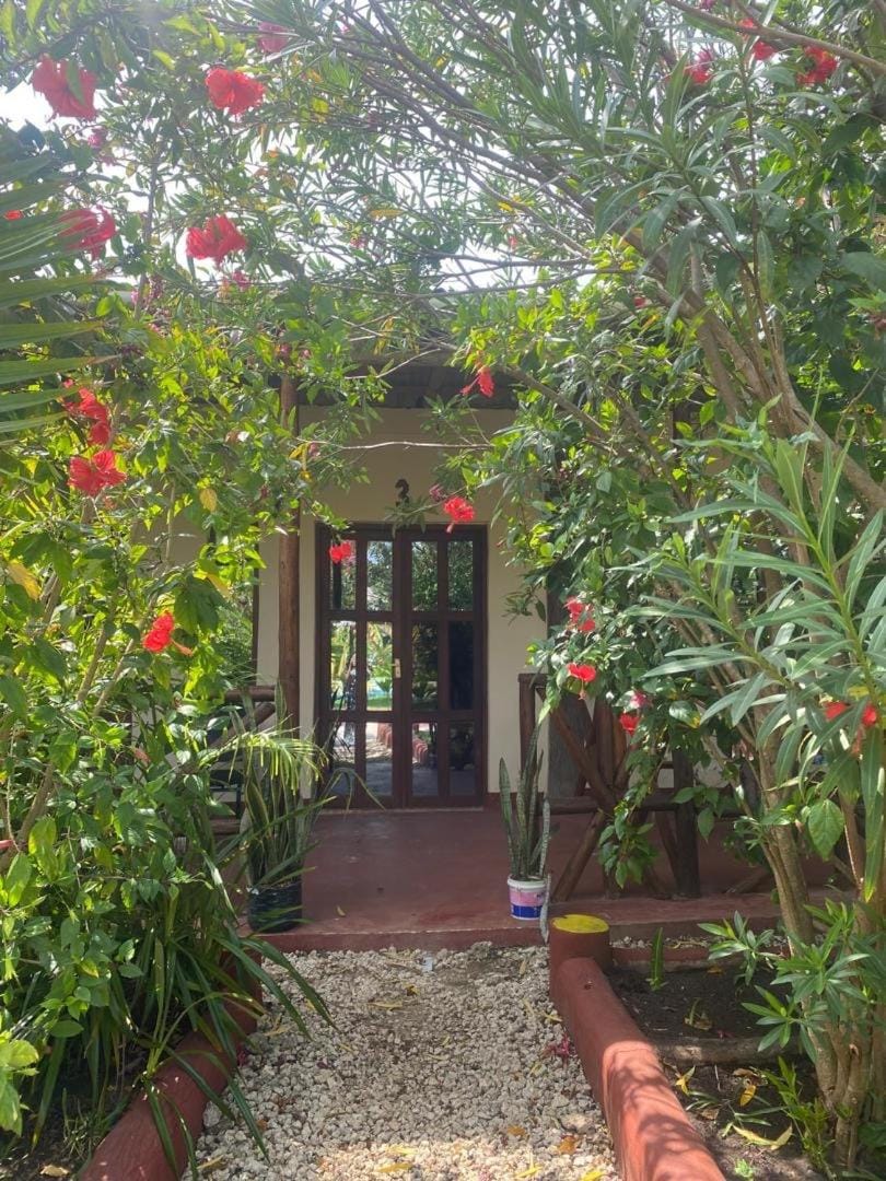 Garden view