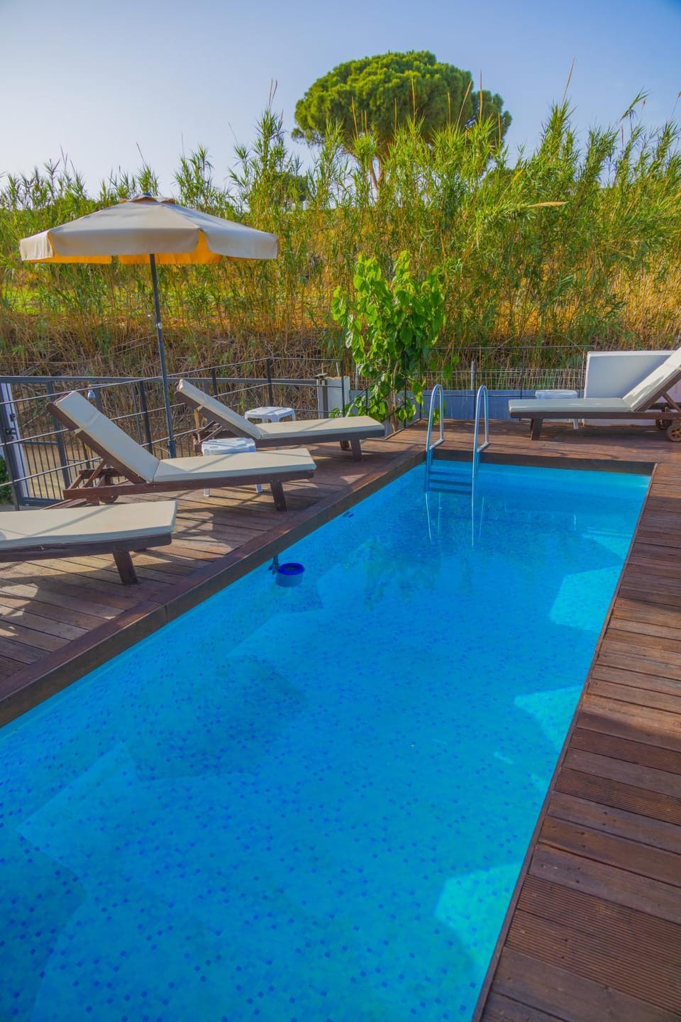 Swimming pool, sunbed