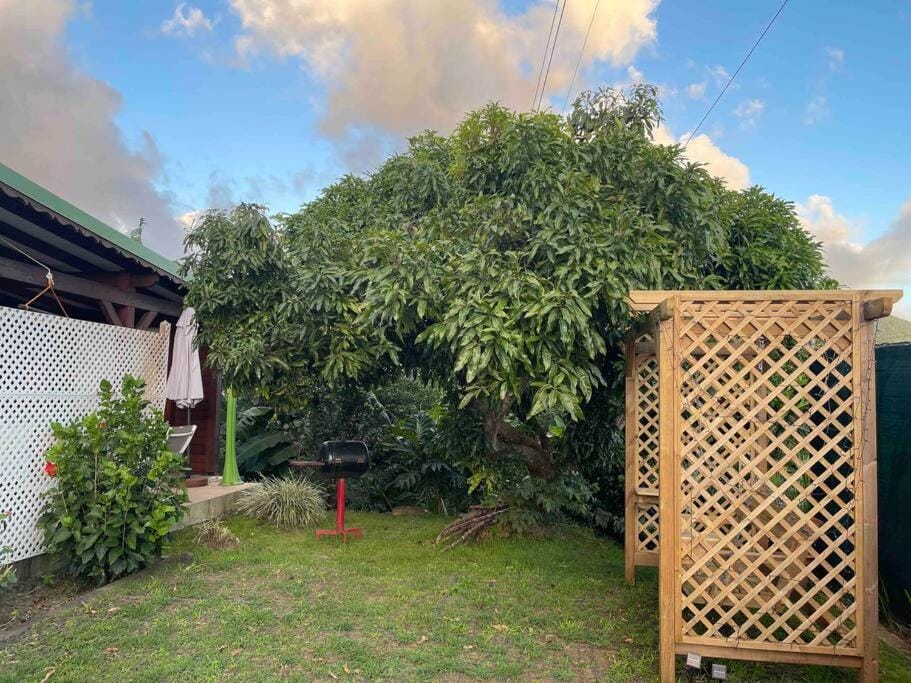 Day, Natural landscape, Garden, Garden view