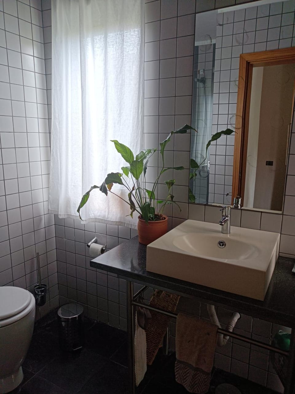 Toilet, Bathroom