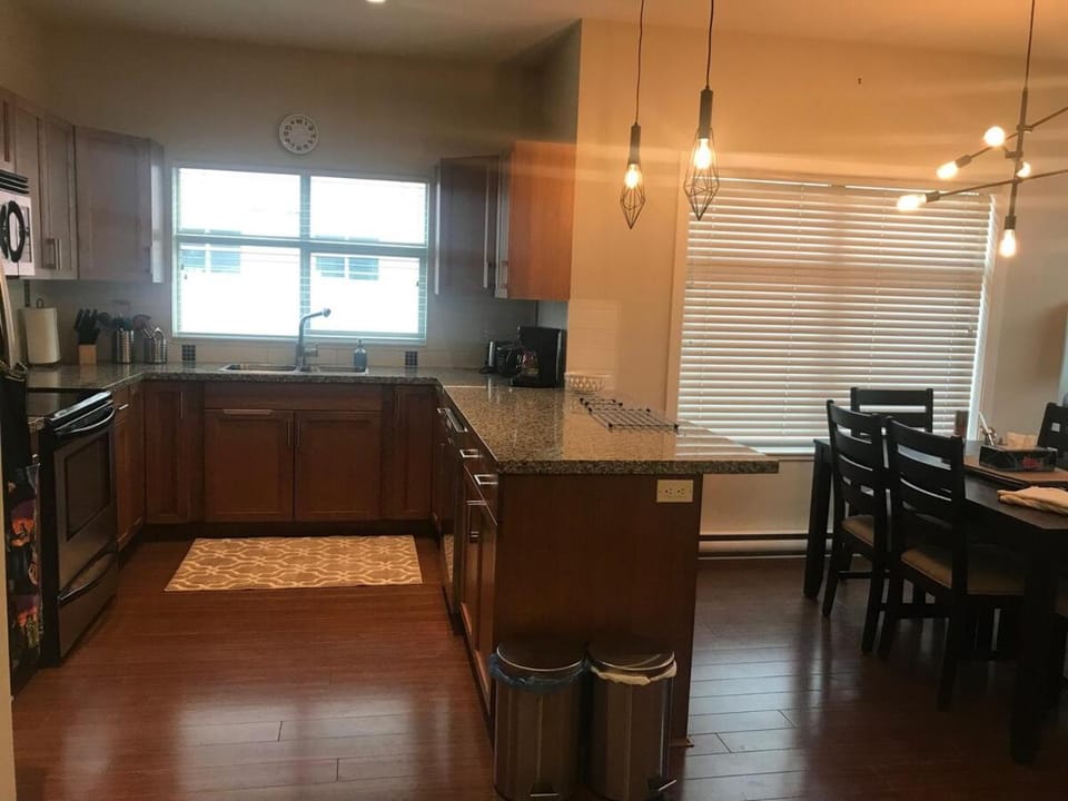Kitchen or kitchenette, Dining area, oven, stove