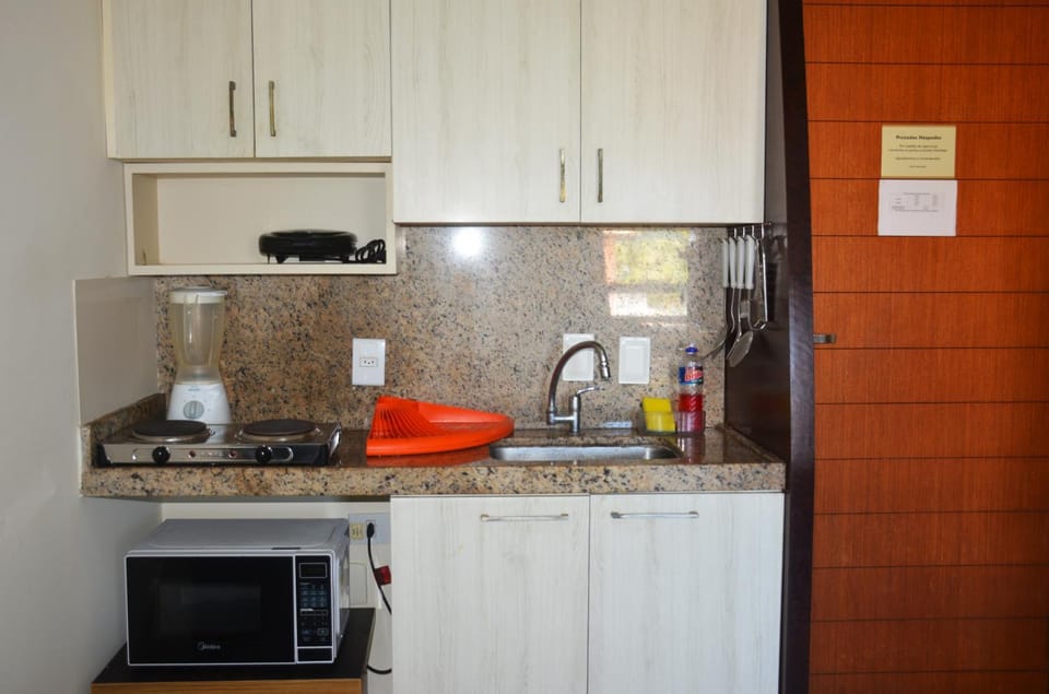 Coffee/tea facilities, Kitchen or kitchenette, minibar, stove