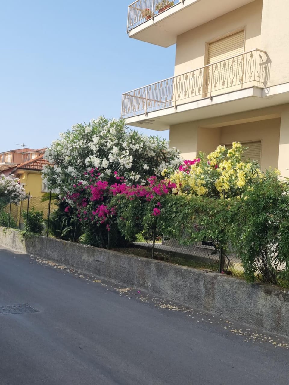 La perle Marine Apartment in Diano Marina