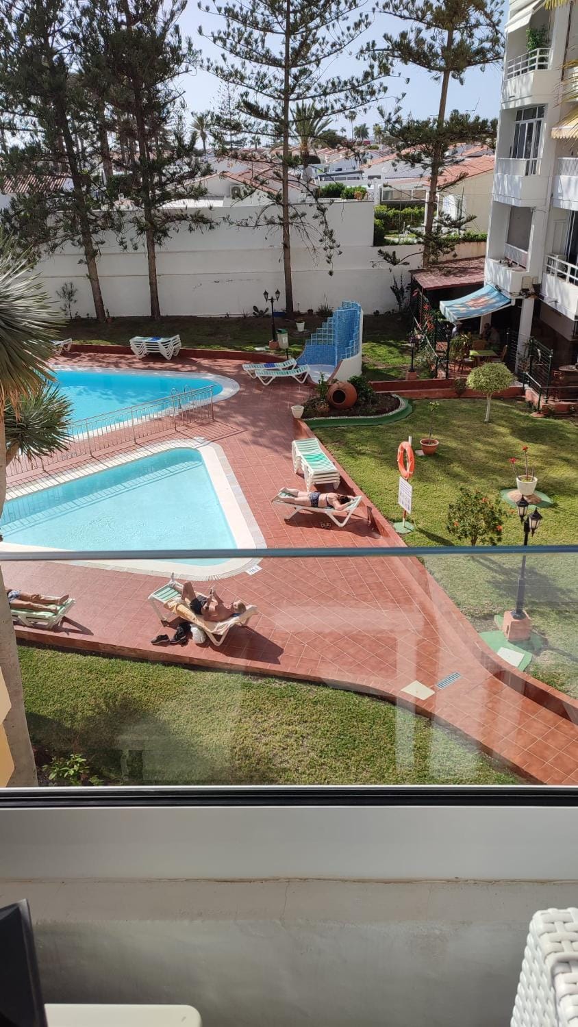 Day, Garden, Garden view, Pool view, Swimming pool, sunbed