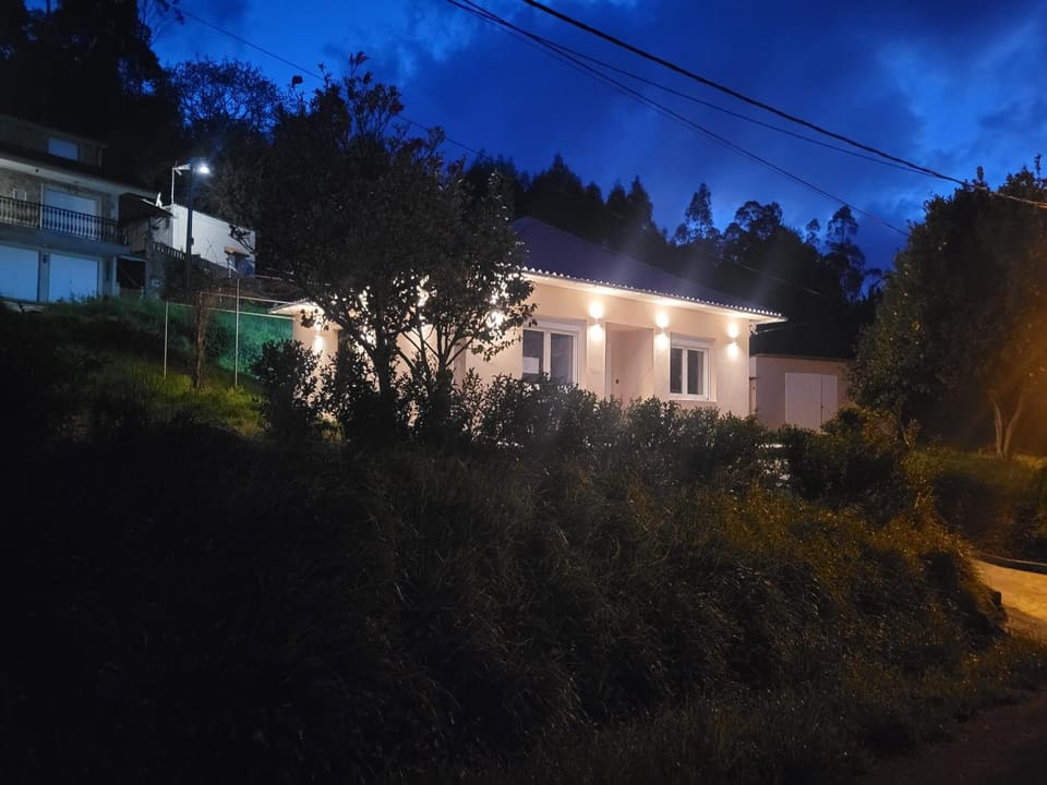 Night, Neighbourhood