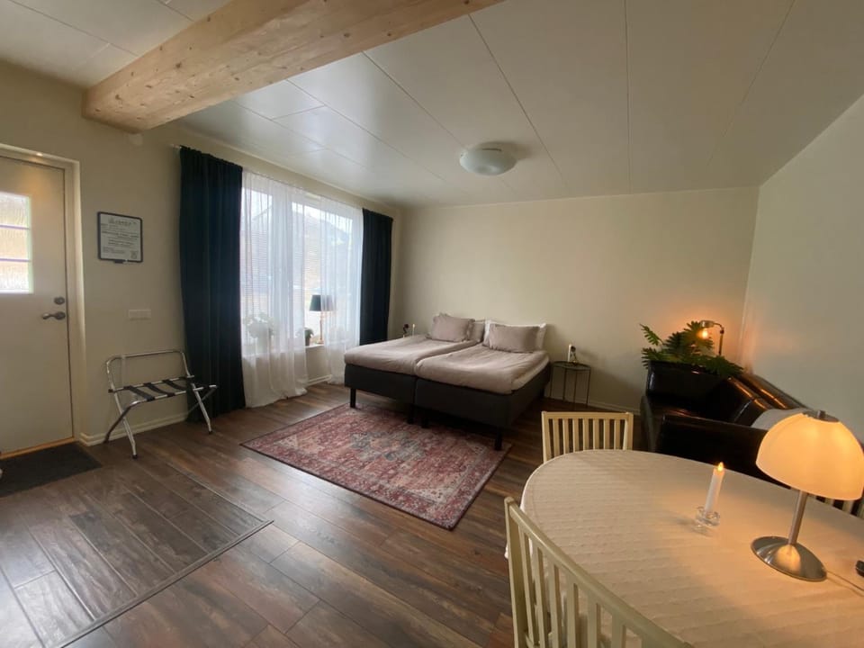 Cozy modern studio apartment stay Apartment in Denmark